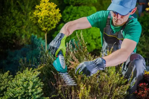 landscaping services Shortsville